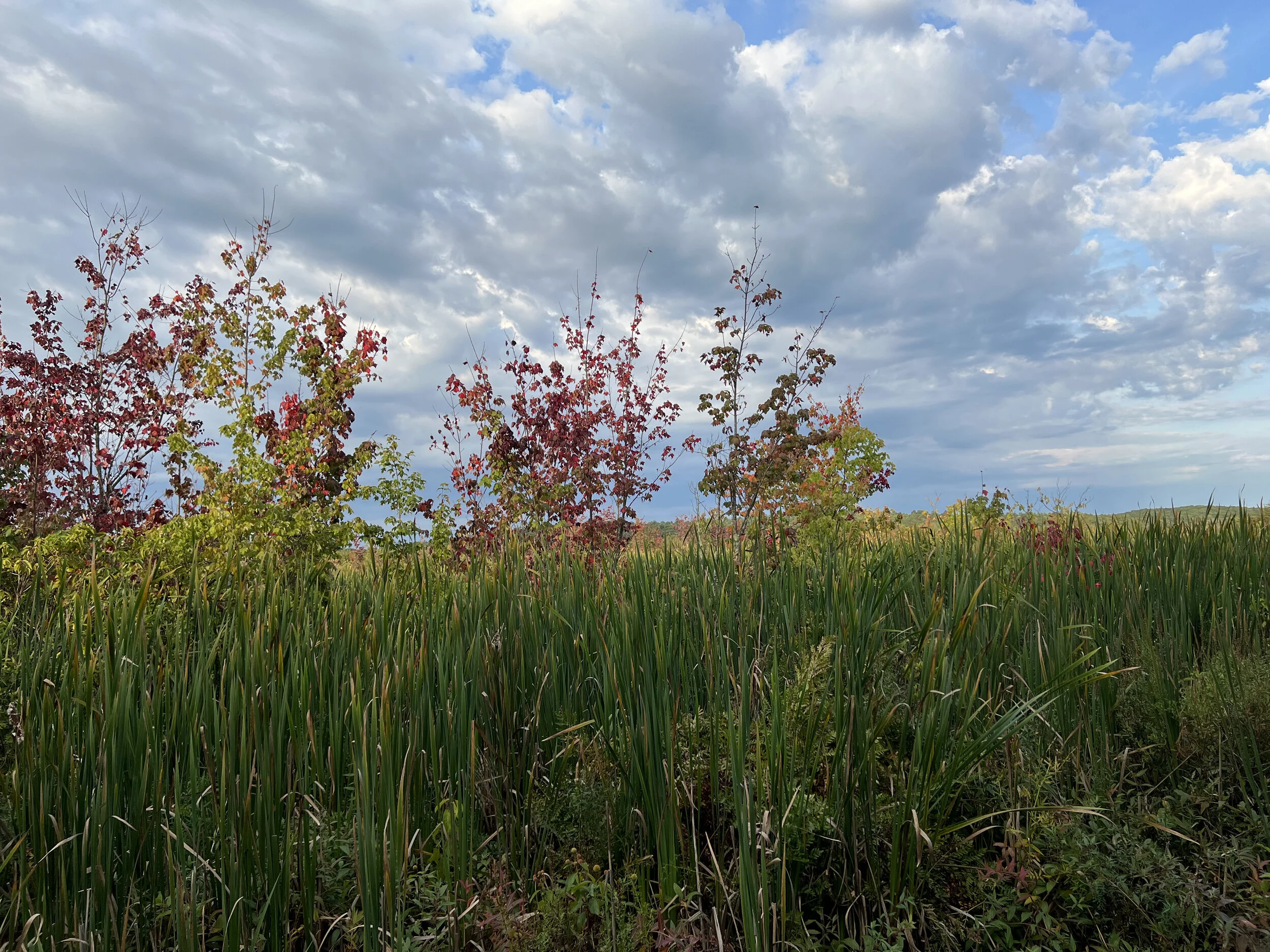 Fate takes the next step