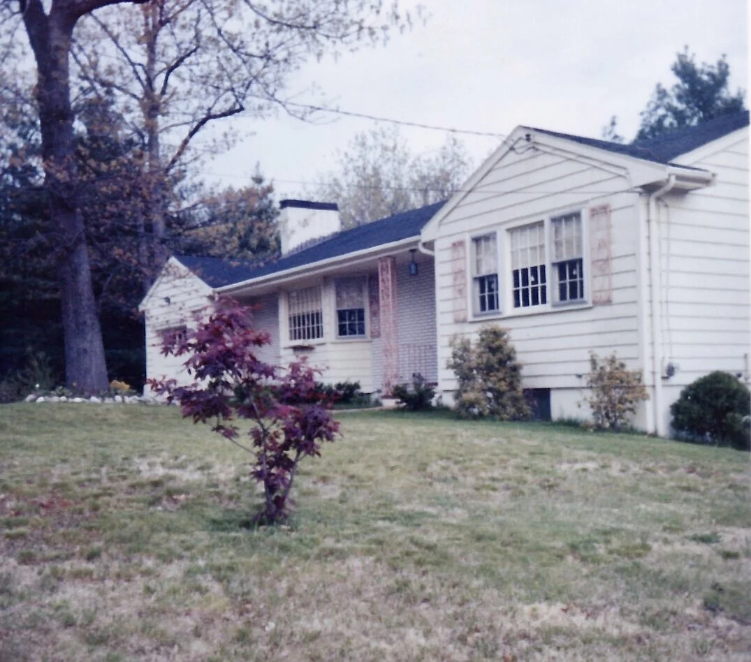 Bring on the kids next door