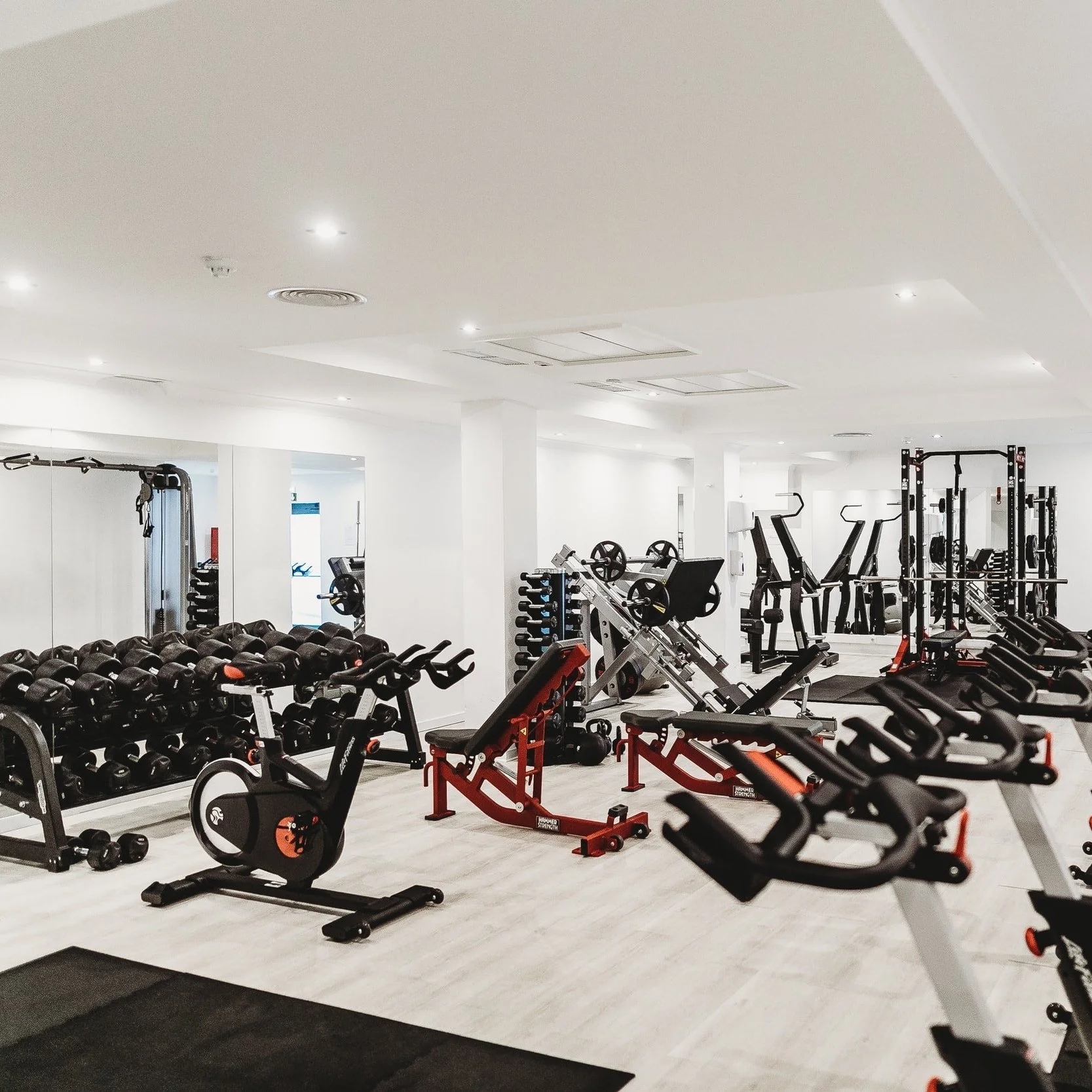 At 81, a New Life at the Gym