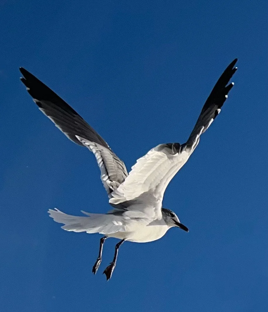 Bask in summer glow of friends, family