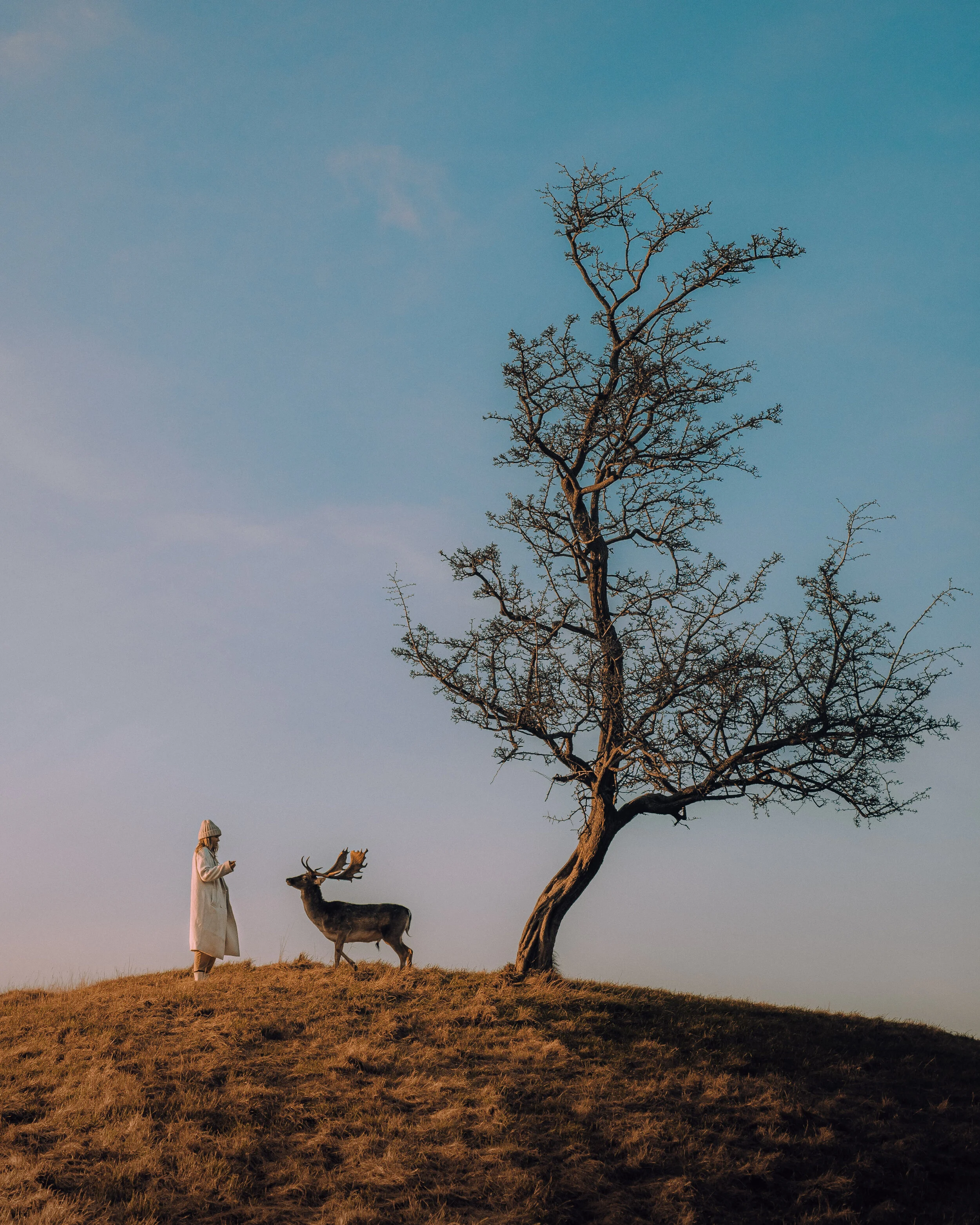 8 DAYS IN IRELAND - The Ultimate Road Trip