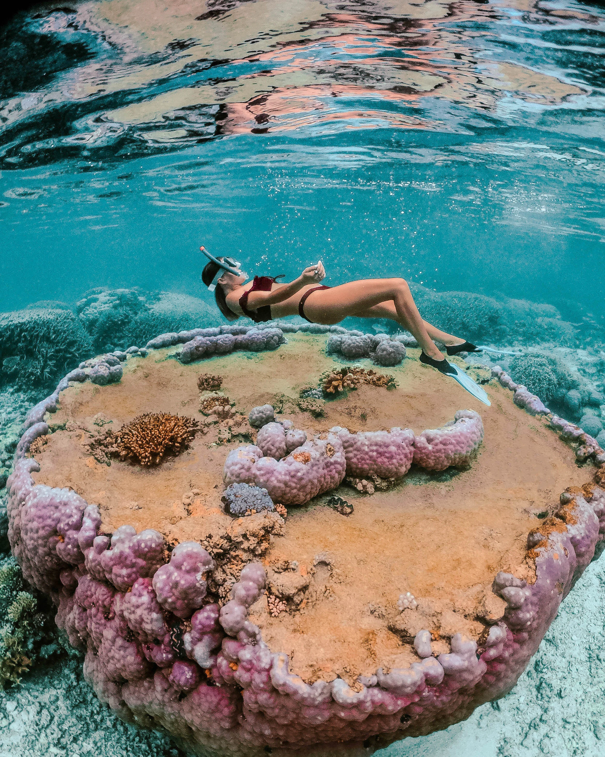 https://images.squarespace-cdn.com/content/v1/5b5dbd883917ee427d49e685/1601604516172-DRQVAF25U7KY1W1BHJVW/Find+the+best+places+to+visit+in+New+Caledonia+including+Bourail+and+Noumea+and+New+Caledonia+photography+to+inspire+you+to+add+New+Caledonia+to+your+bucket+list.+%23newcaledonia+%7C+New+Caledonia+travel+guide+%7C+New+Caledonia+things+to+do+in+%7C+Noumea+New+Caledonia+things+to+do+in+%7C+things+to+do+in+New+Caledonia+%7C+New+Caledonia+photography+%7C+New+Caledonia+photos+%7C+New+Caledonia+Instagram+%7C+Bourail+New+Caledonia+%7C+best+South+Pacific+islands+%7C+South+Pacific+travel+destinations?format=2500w