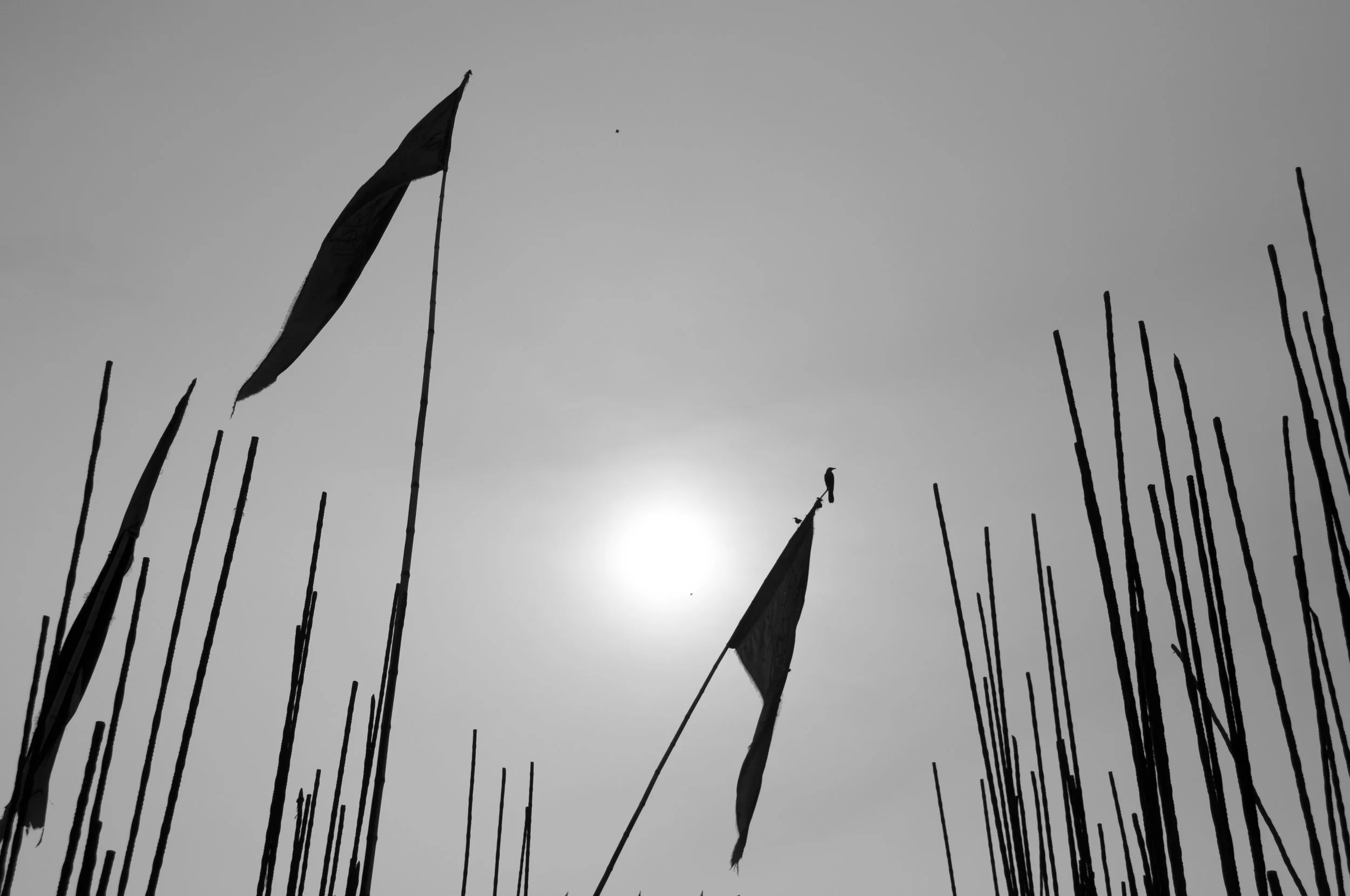 169.jpg