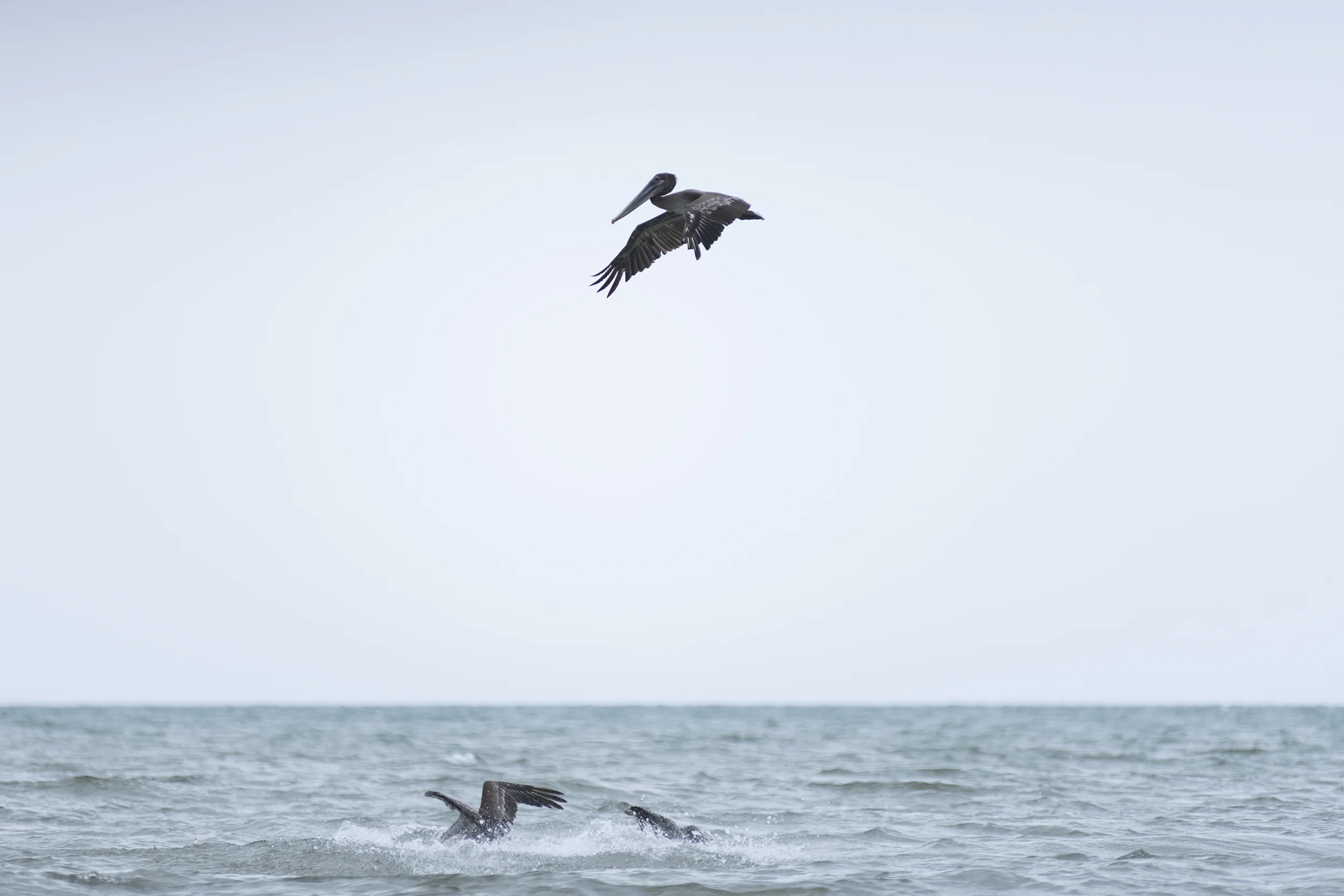 MIT GLOBAL STARTUP LABS