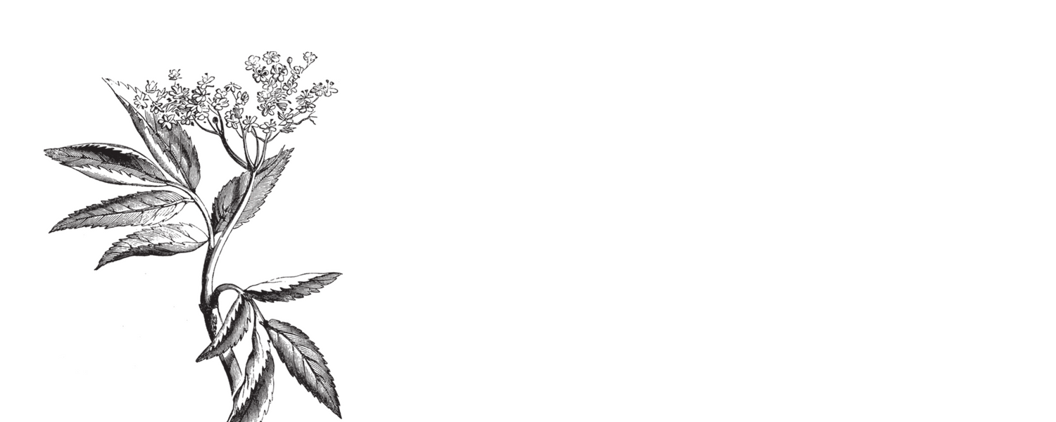 Untitled design (18).png