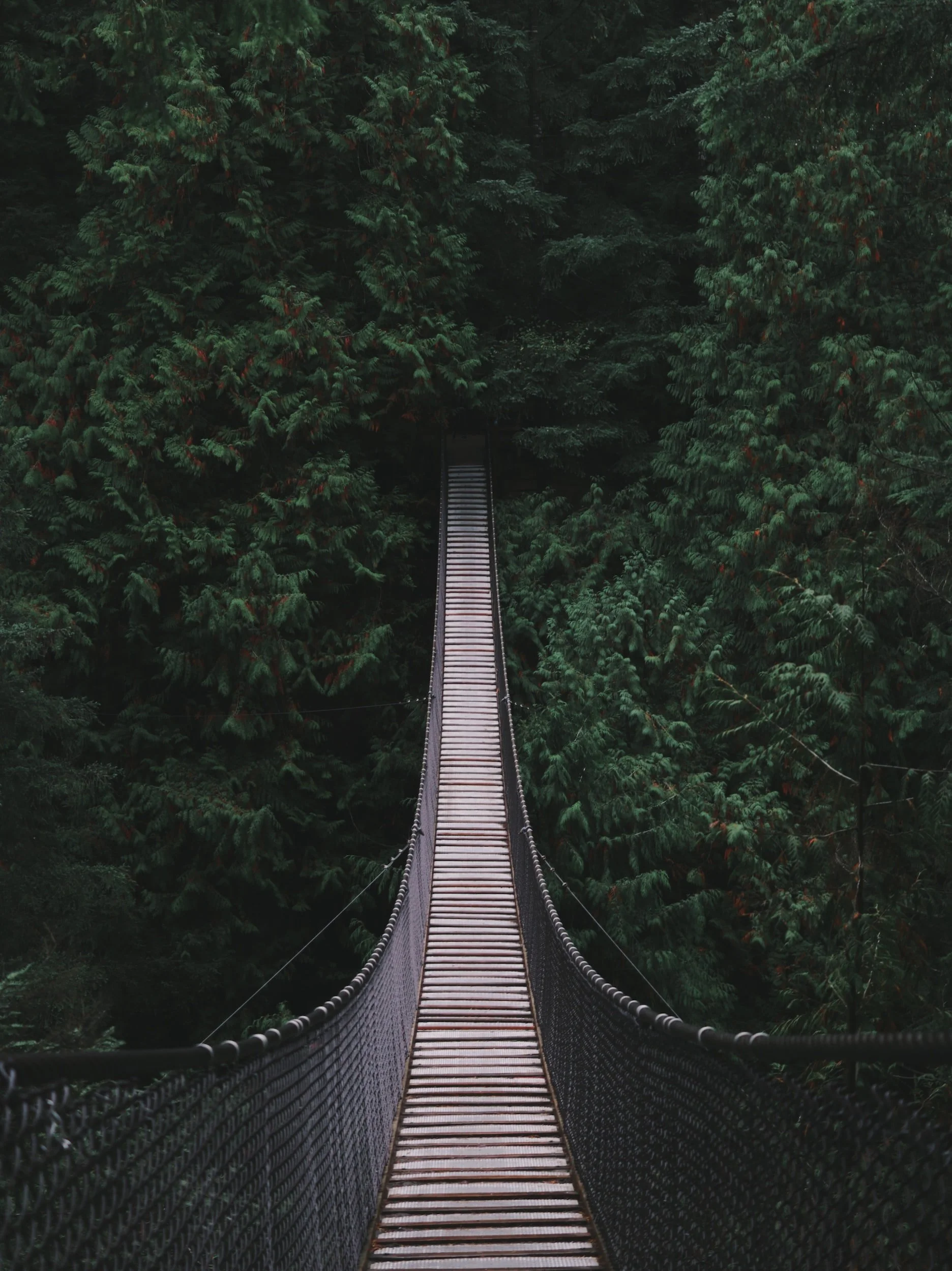 unsplash-image-tABAti6Qko4.jpg