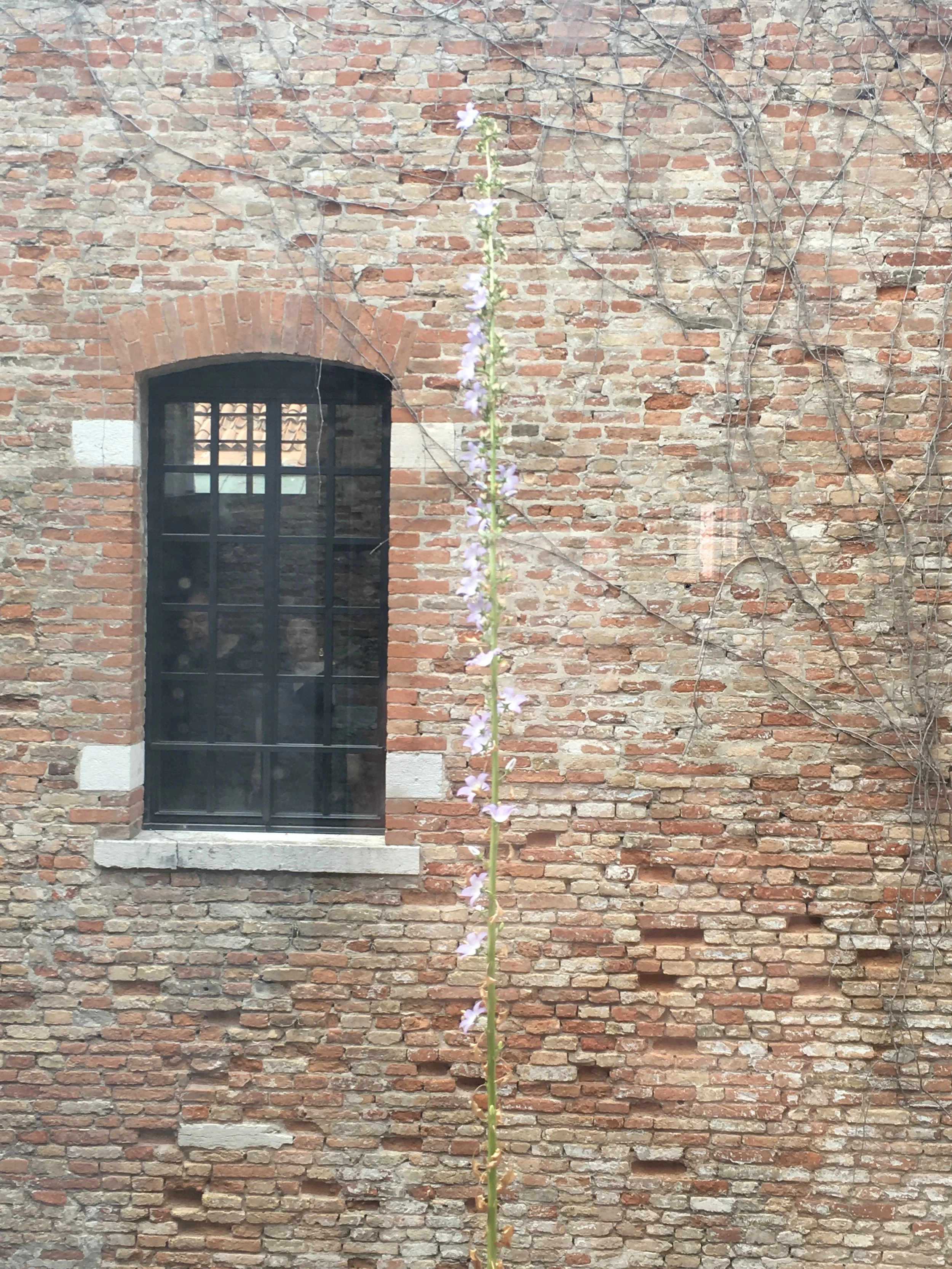 lone flower and ghost people: i like