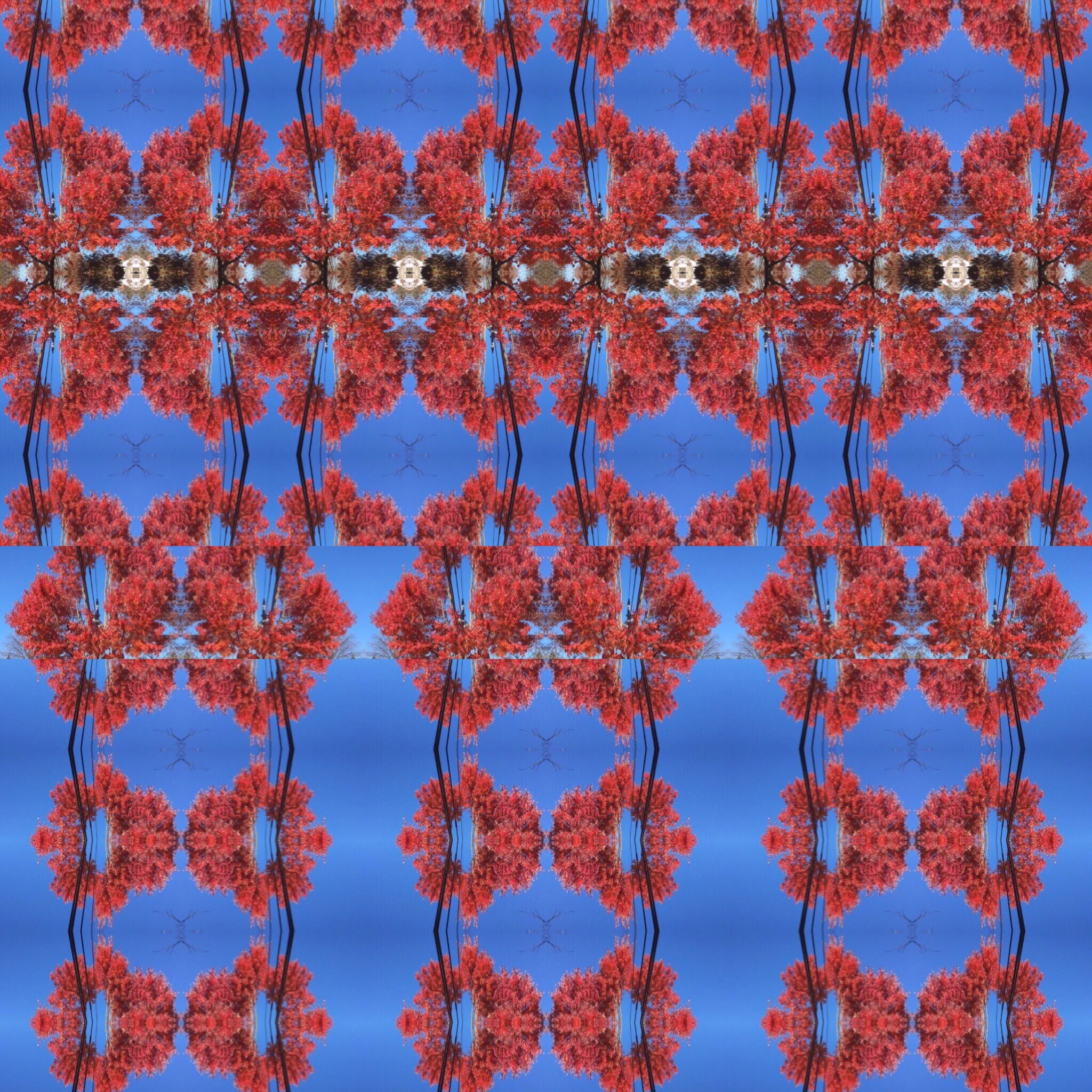 0205AA92-CEED-439A-86AA-FC9FA9D0FEC7.JPG