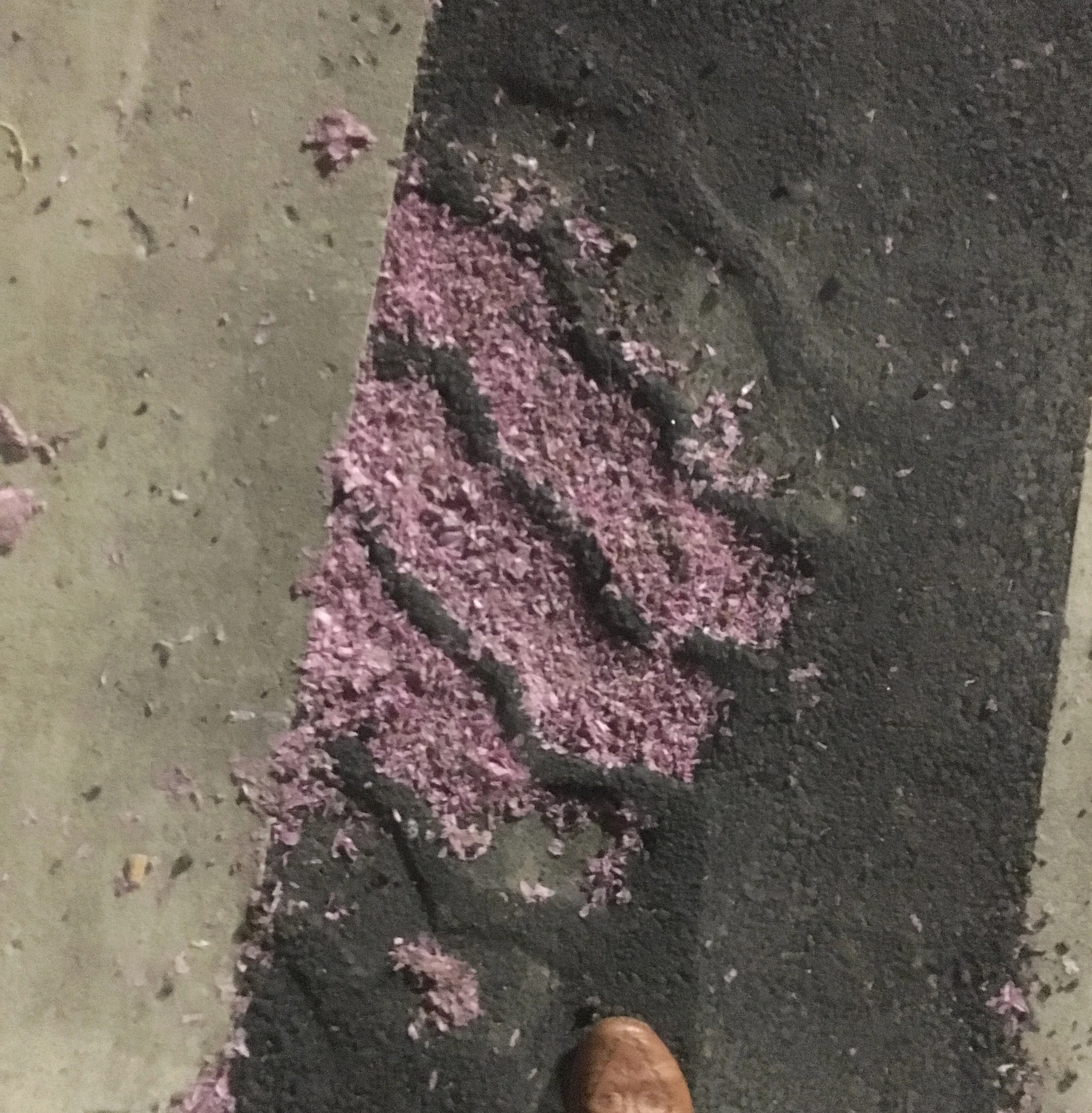 petals and tire imprint: I like