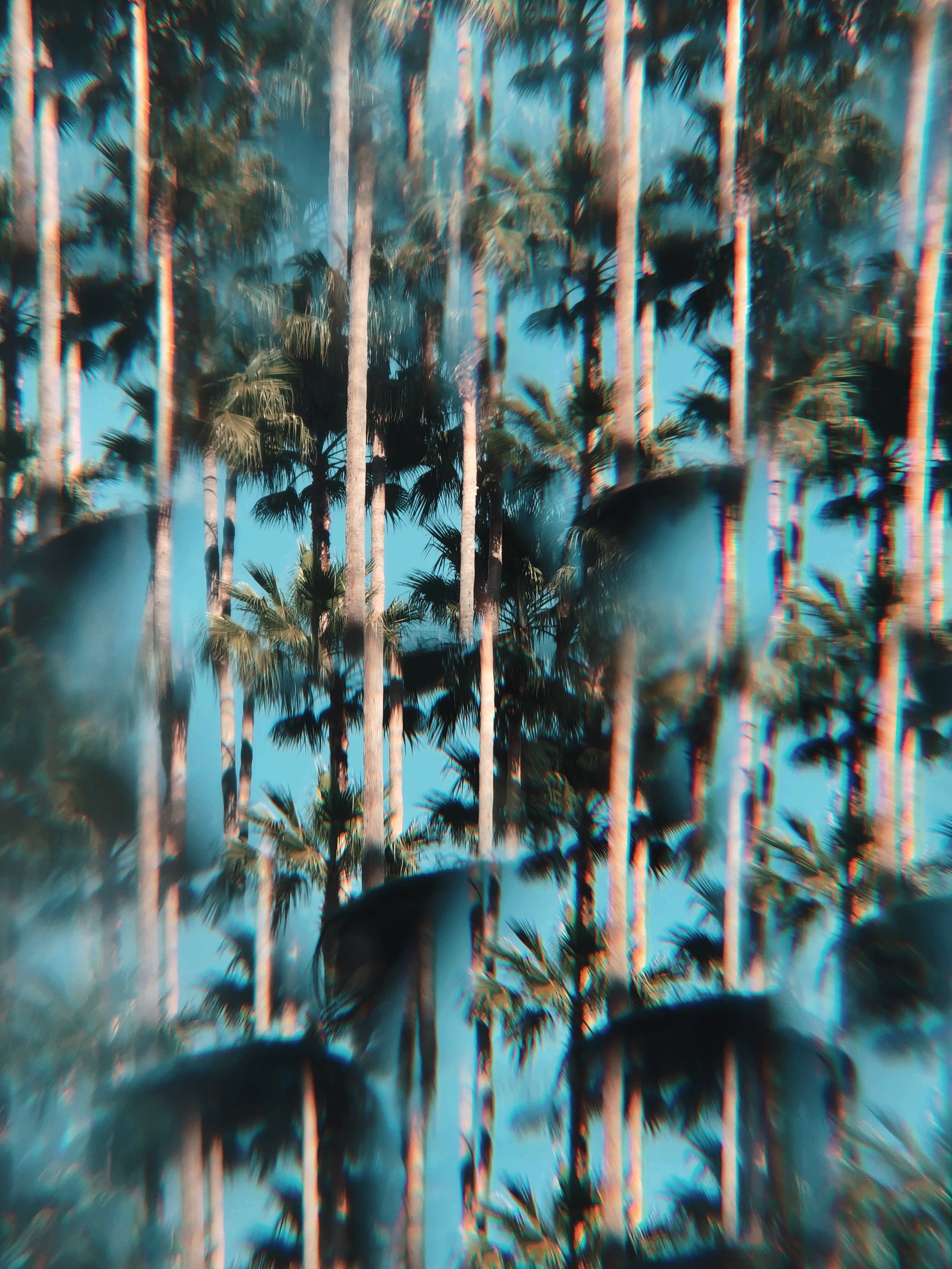 AfterlightImage 56.JPG