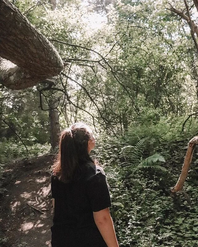 Are we out of the woods yet?🌲 Lovely submission by @gracebphotographyy for Day 17&rsquo;s theme &ldquo;INSPIRED BY A SONG OR AN ALBUM&rdquo; of our Photo Challenge! #thesnapshotclub