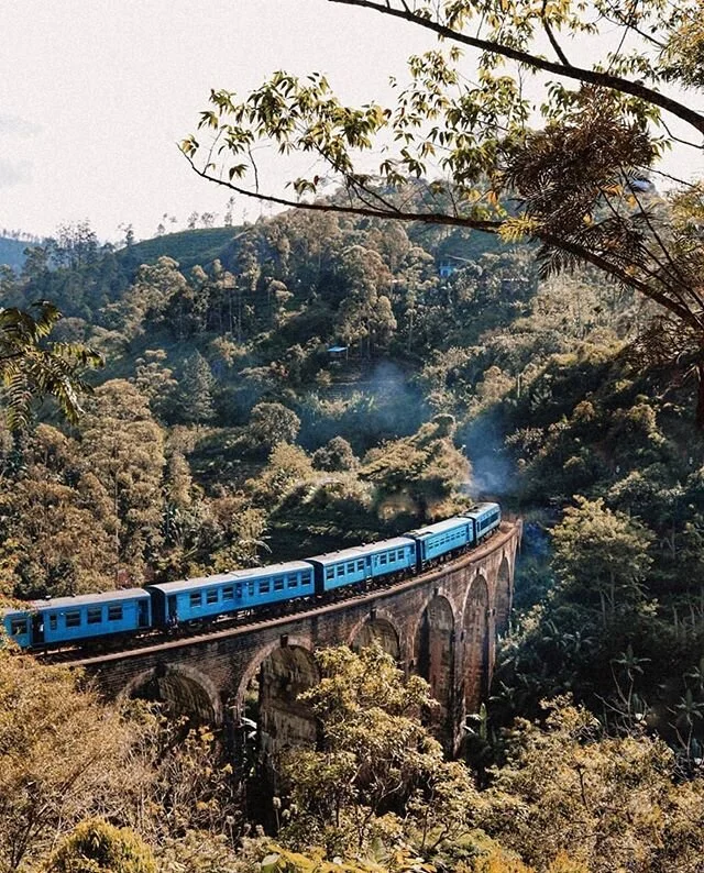Ella, Sri Lanka / 📸: @eleanorsescapes 
Tag #TheSnapshotClub to be featured.