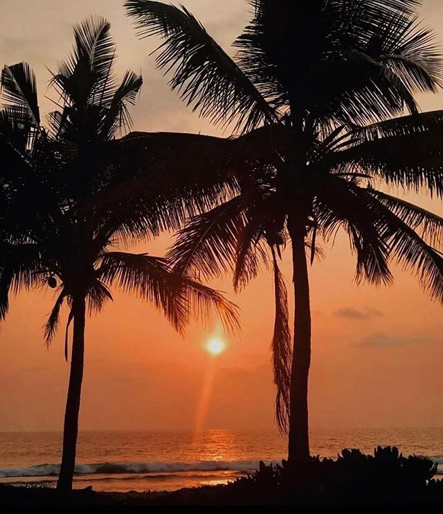 📍 Sunsets in Sri Lanka. 📸 @eleanorsescapes 
Tag #TheSnapshotClub to be featured!