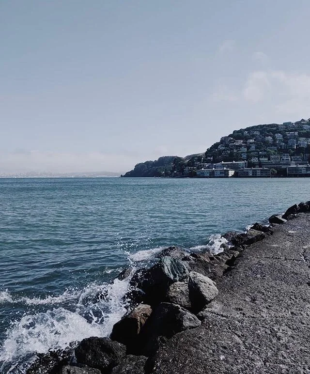 📍Sausalito, California
📸 @cass_senn 
Tag #TheSnapshotClub to be featured!