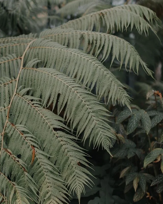 📍 Kew Gardens, London.
📸 @saamcarr
Tag #TheSnapshotClub to be featured!
