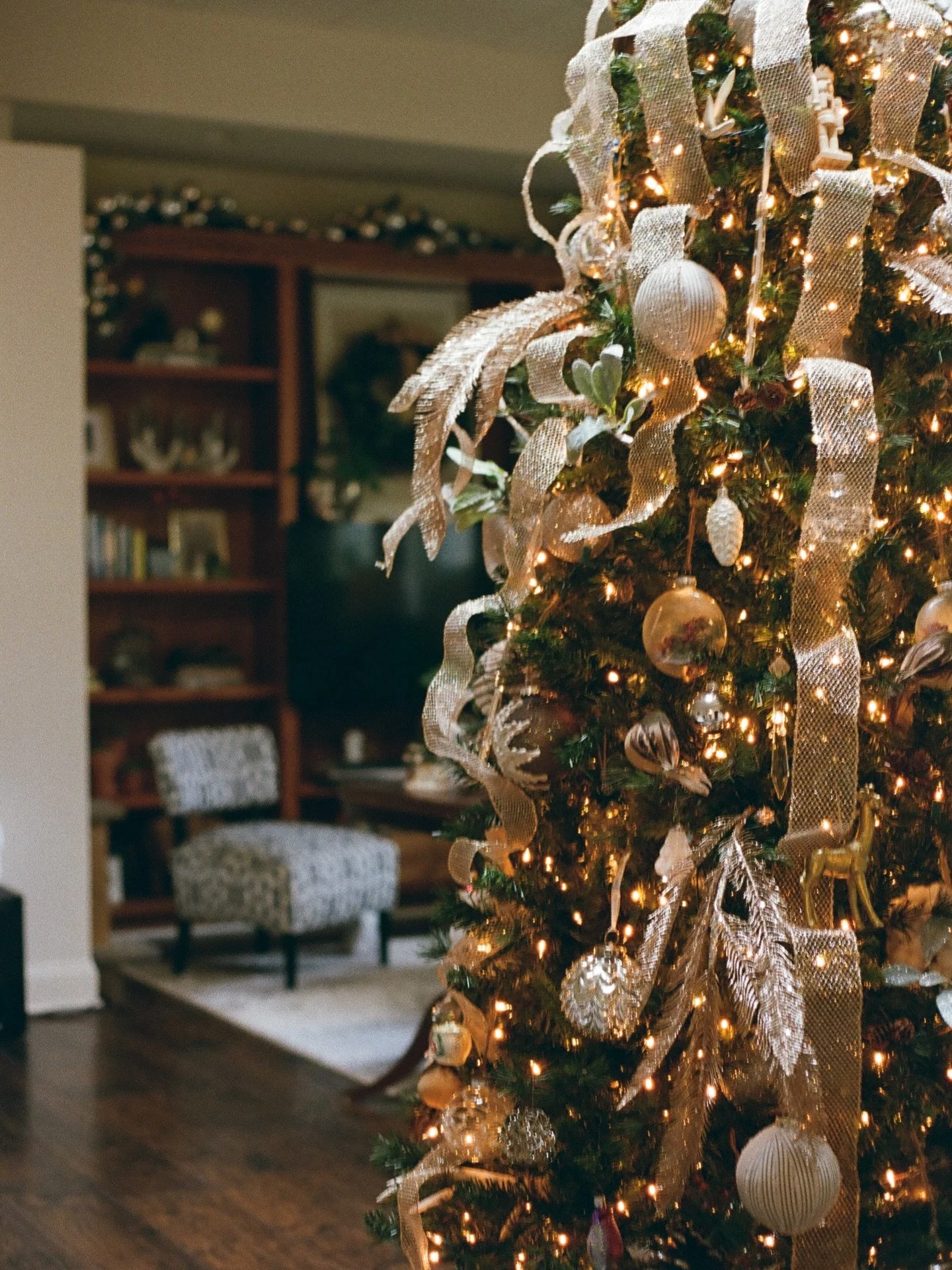 Home for the holidays
.
Taken with my dads Cannon 35mm
#hallmarkholiday #holidaydecor #curatorofhome