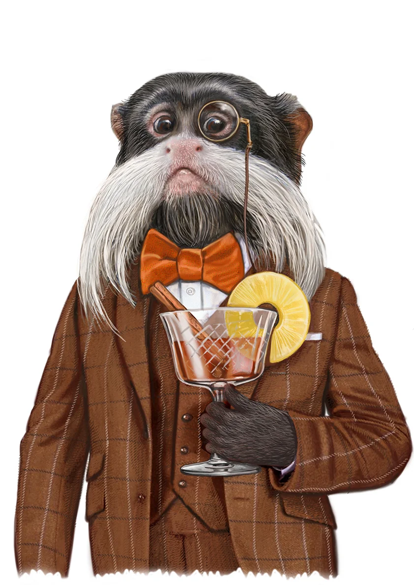 POrtfolio_Heston_Monkey.jpg