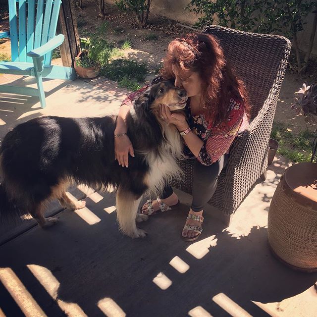 When you find love! Cooper is adopted!  This handsome boy will get collie nose kisses the rest of his life. We are so happy his foster mom and dad, Elizabeth and David fell in love with him. I mean how could they not?  His nickname is Tall Dark and H