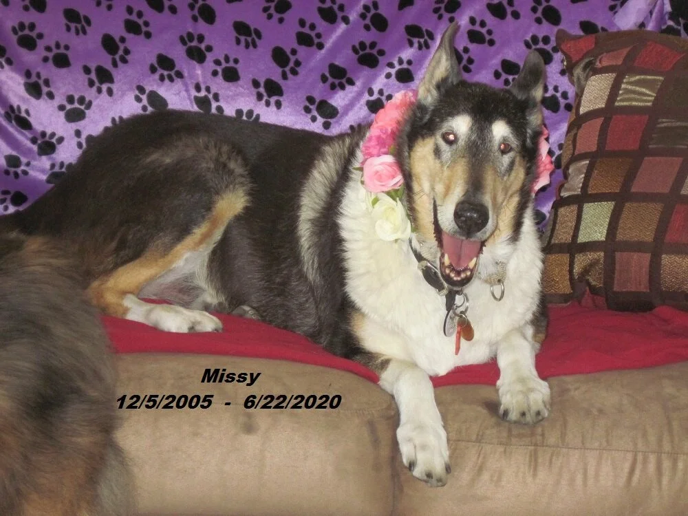 Missy at a dog party - Copy with birth to death dates.jpg