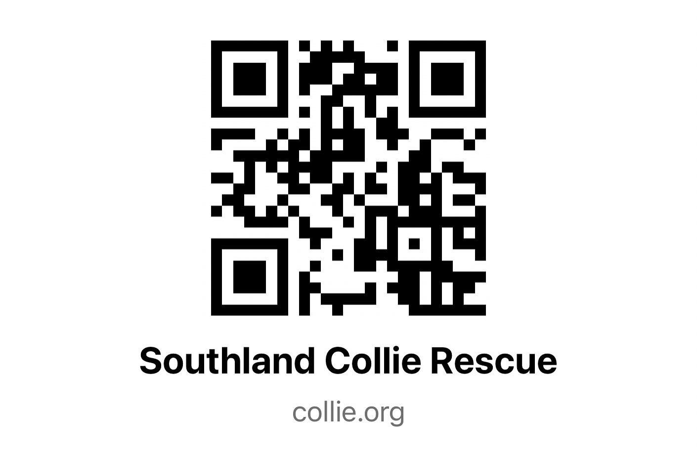 Well, look at us getting so high tech! Check out our QR code that takes you right to our website! You can see all of the collies up for adoption and you can go to the donation page and make a donation! You can also go to the link to fill out an Adopt