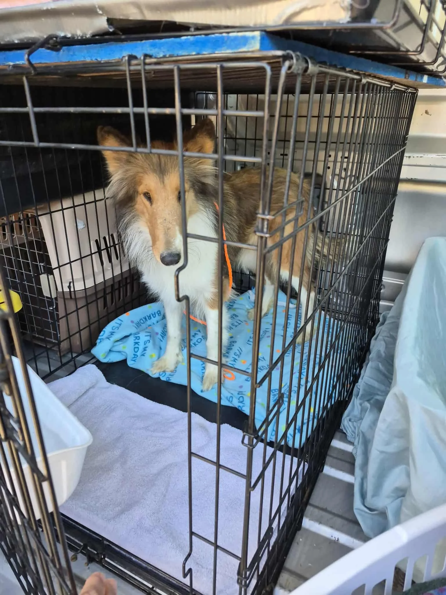 The Stardust Trail – Part One