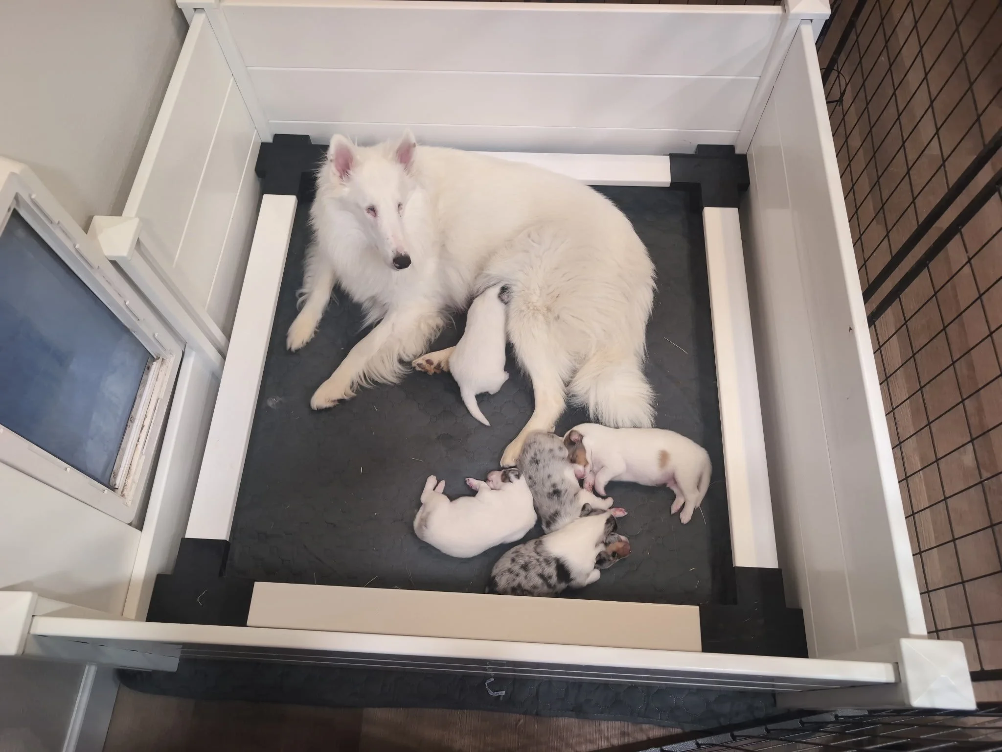 The Stardust Trail – Part Two