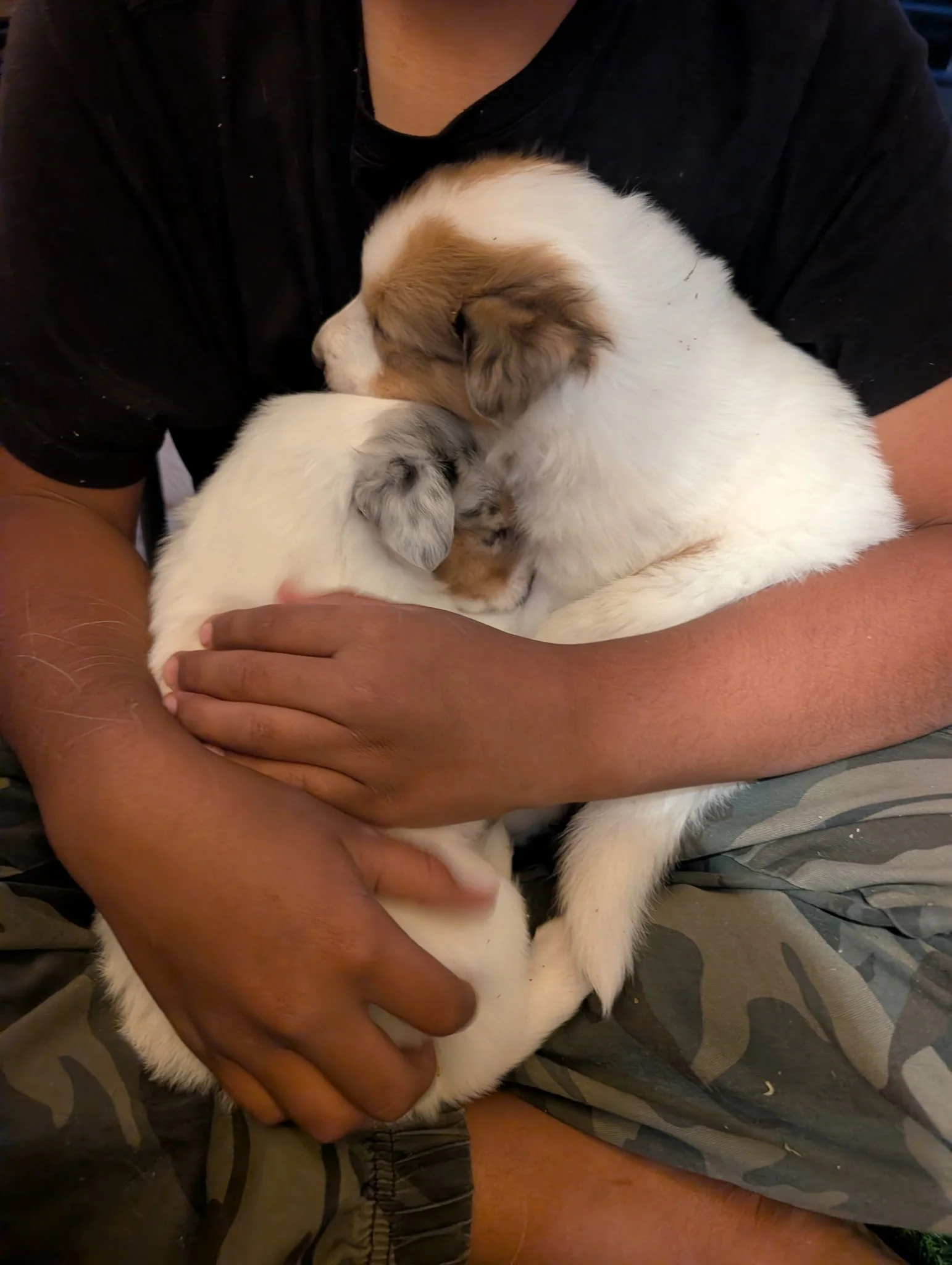 Peter & Trip (1).jpg
