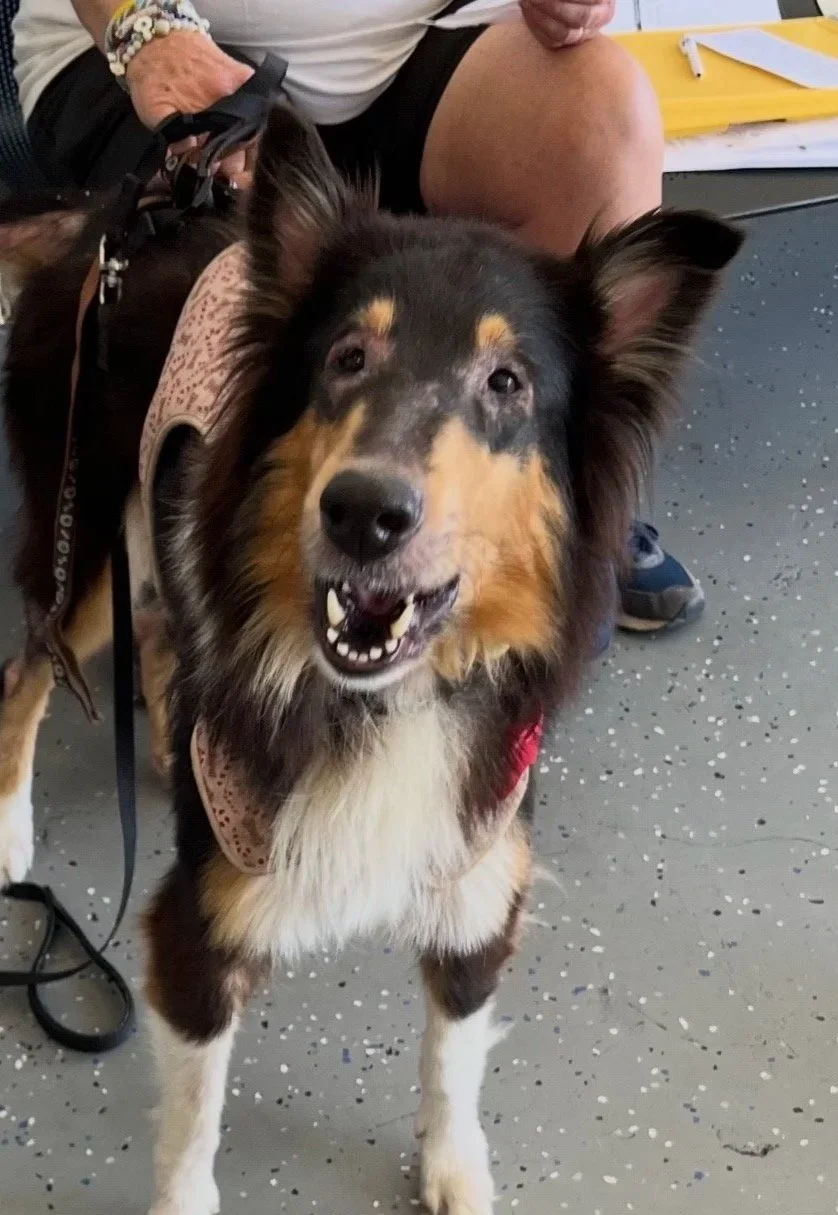 DONATE FOR Clarabelle’S CARE