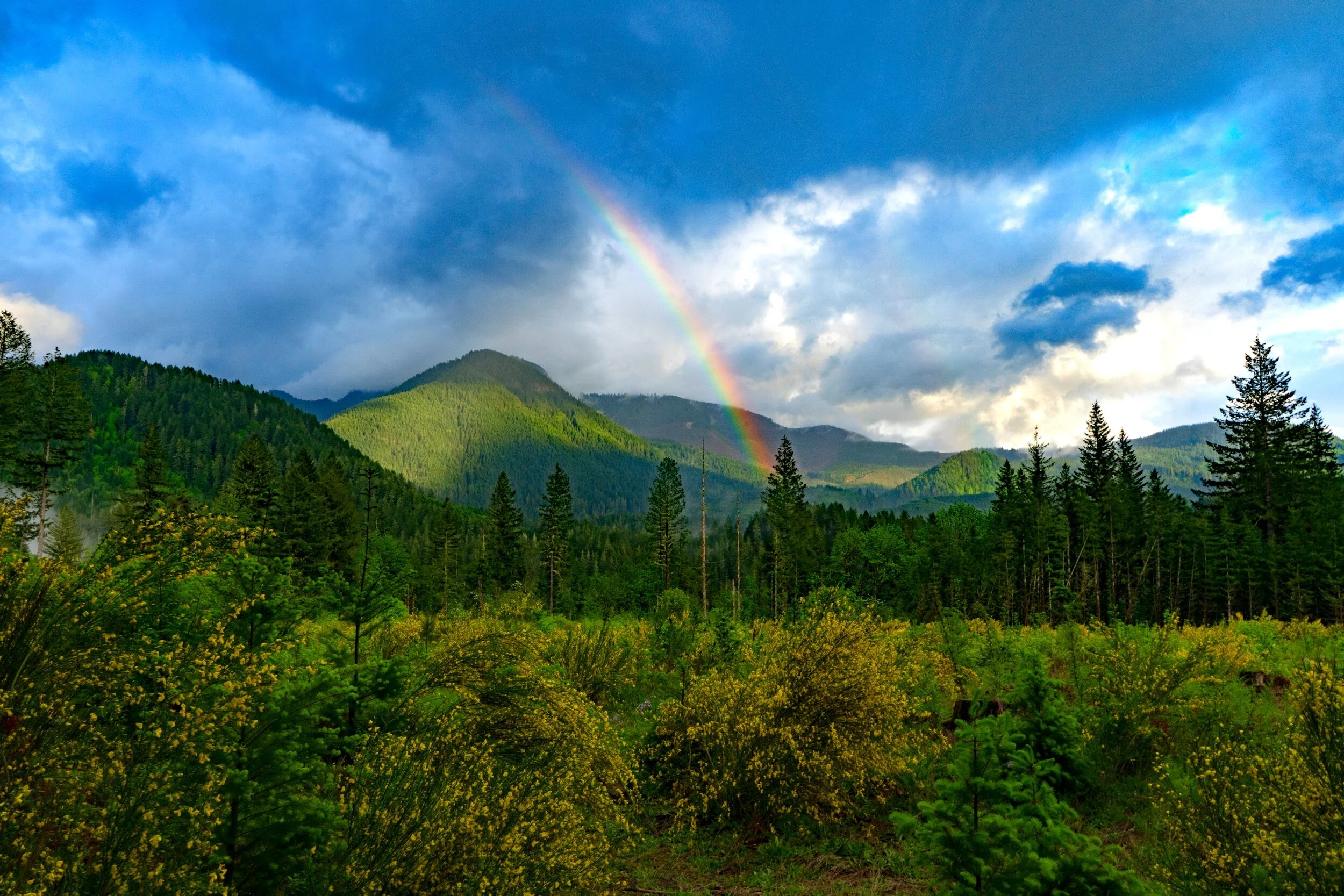 Beatitudes matter when considering gender