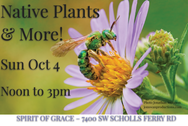 Fall Plant Sale