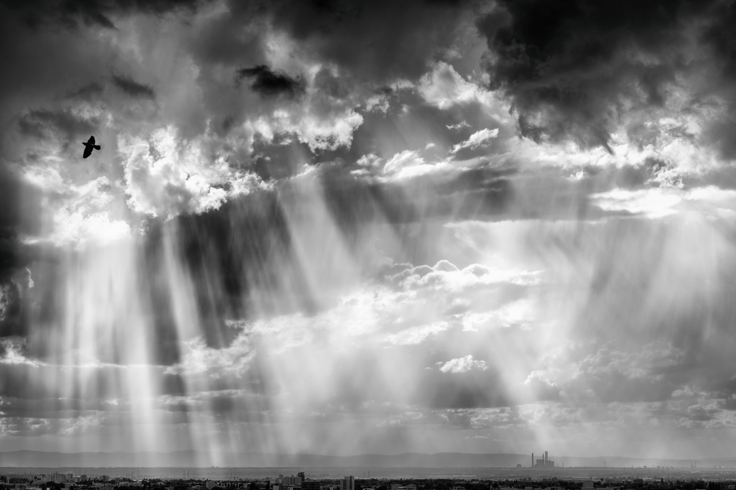 L1007540-Edit-Edit.jpg