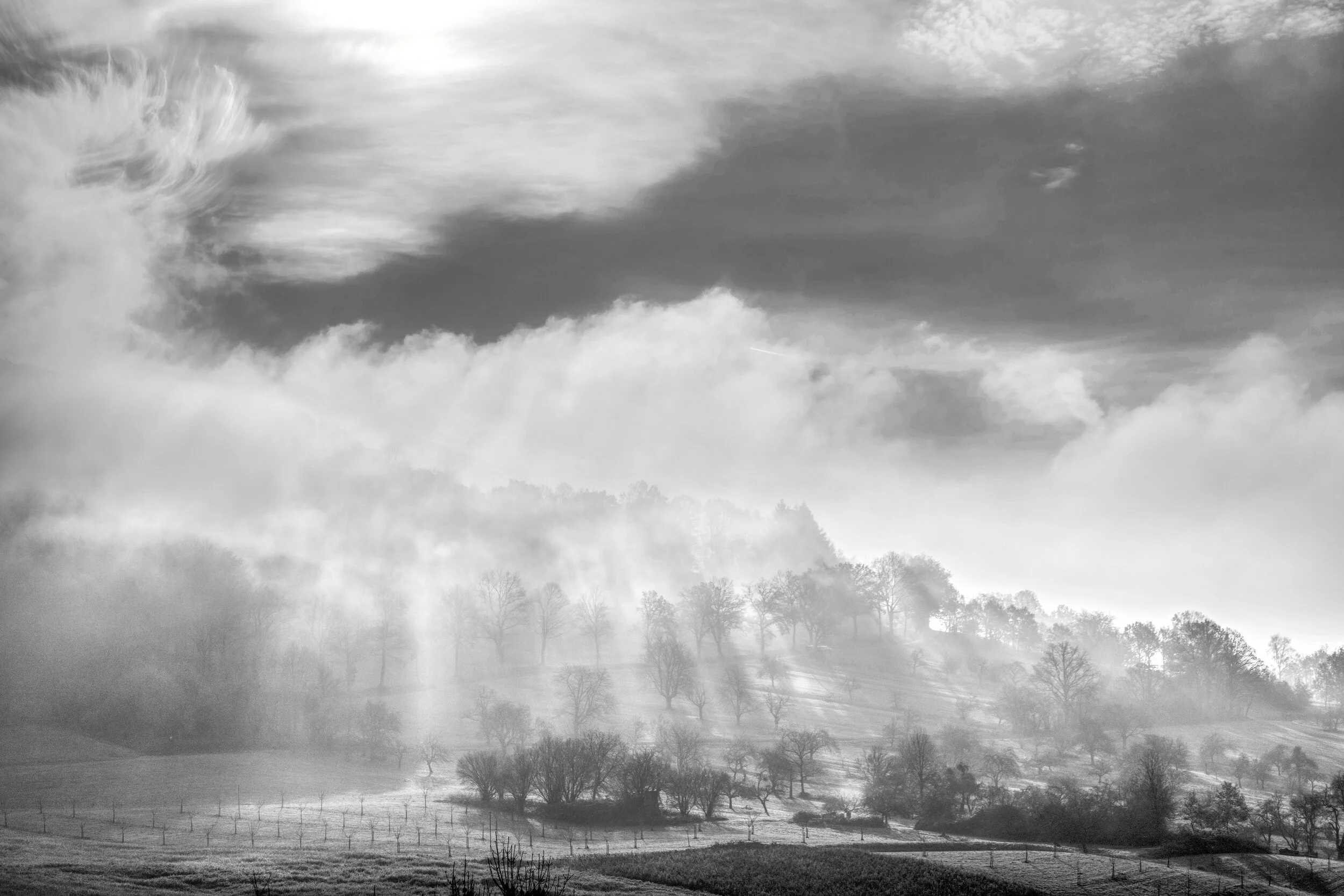 L1000555_BW copy.jpeg