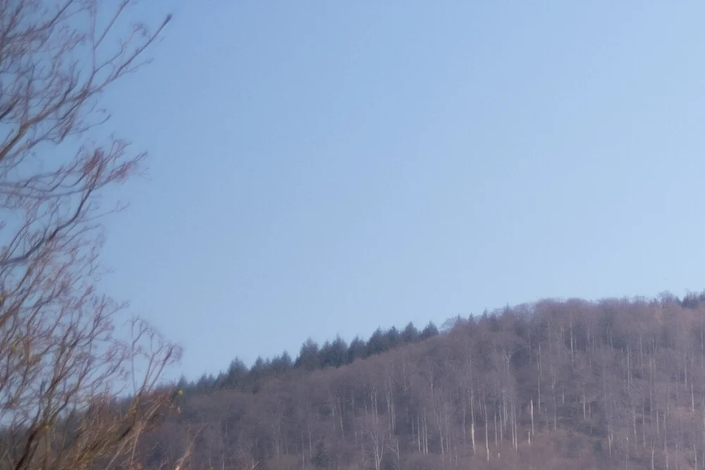  35FLE f1.4 300% top-left crop  