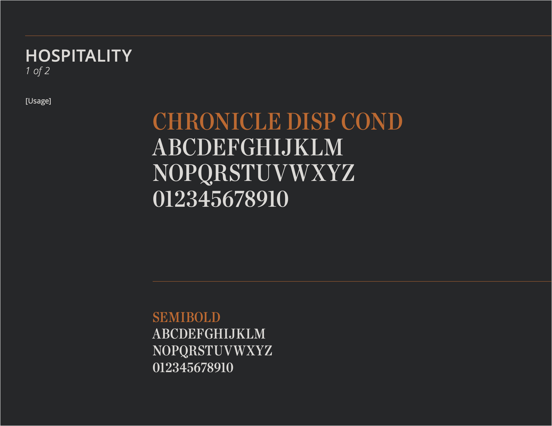 Chevron Brand Guidelines Yusef Porcello