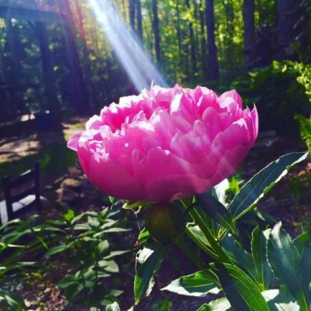 Busyness: the eighth deadly sin