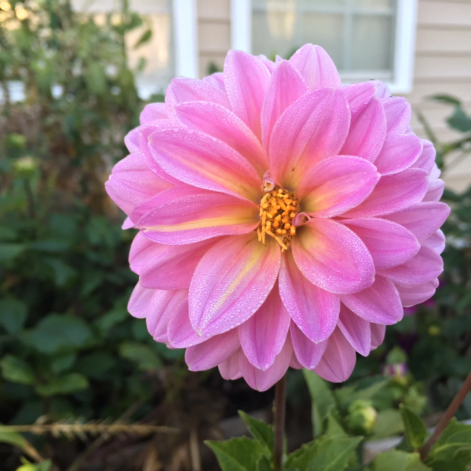 I’m different, and I know why