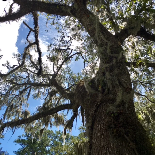 Finding truth in the Bible