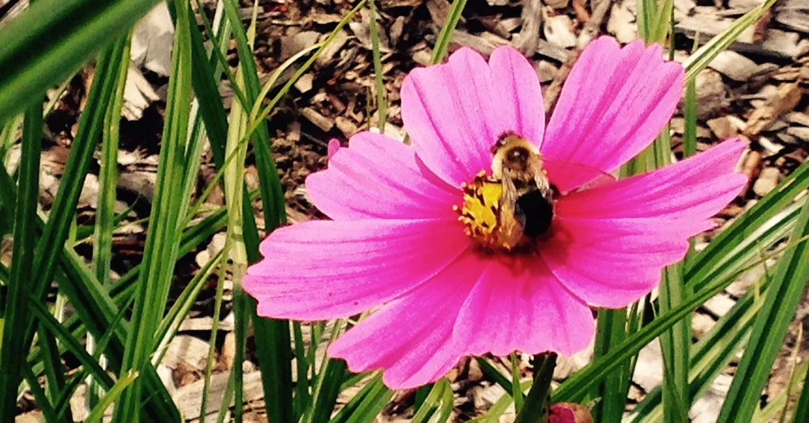 Eight fun ways to spice up your creative mojo