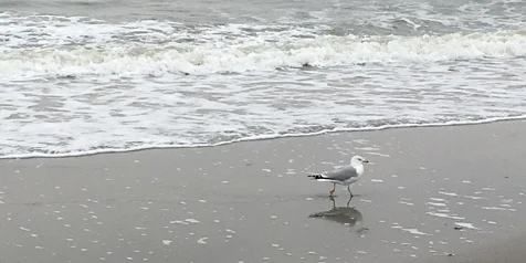 Sabbath-keeping in today’s crazy-busy world