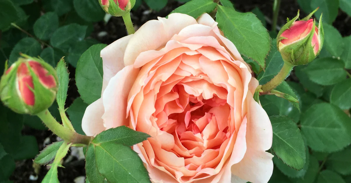 Does our work in the Spirit ever see "the end"?