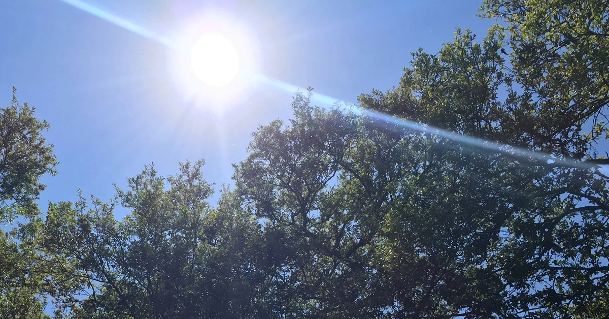 Writers: Called to proclaim the light of the world