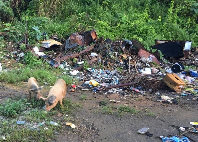 The junk of my past has no place in my future