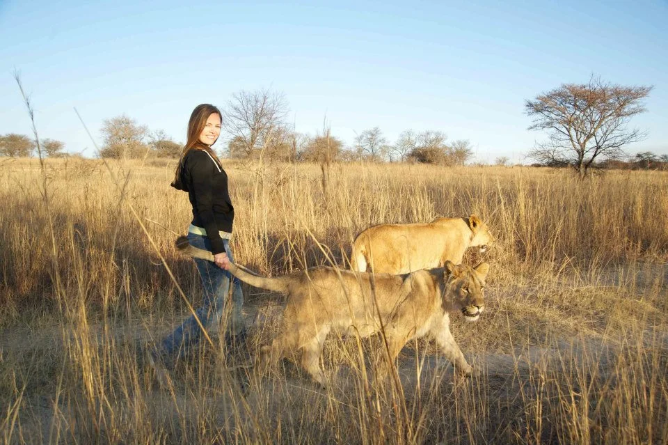 On faith, fear, and walking with lions 