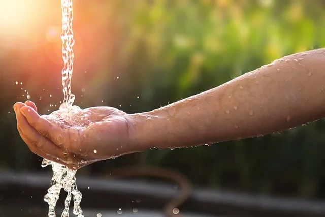 On thirsty turtles and living water