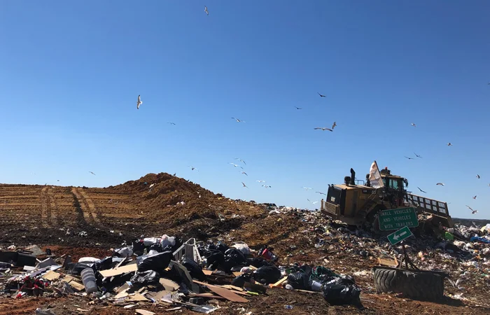 A wasteful culture