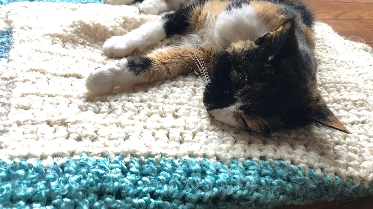 Remembering Teetee, a feline model of God’s unconditional love