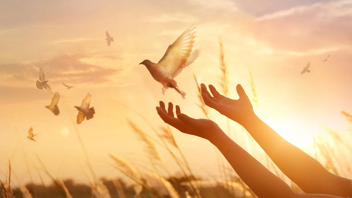 Hope in grief, light in darkness