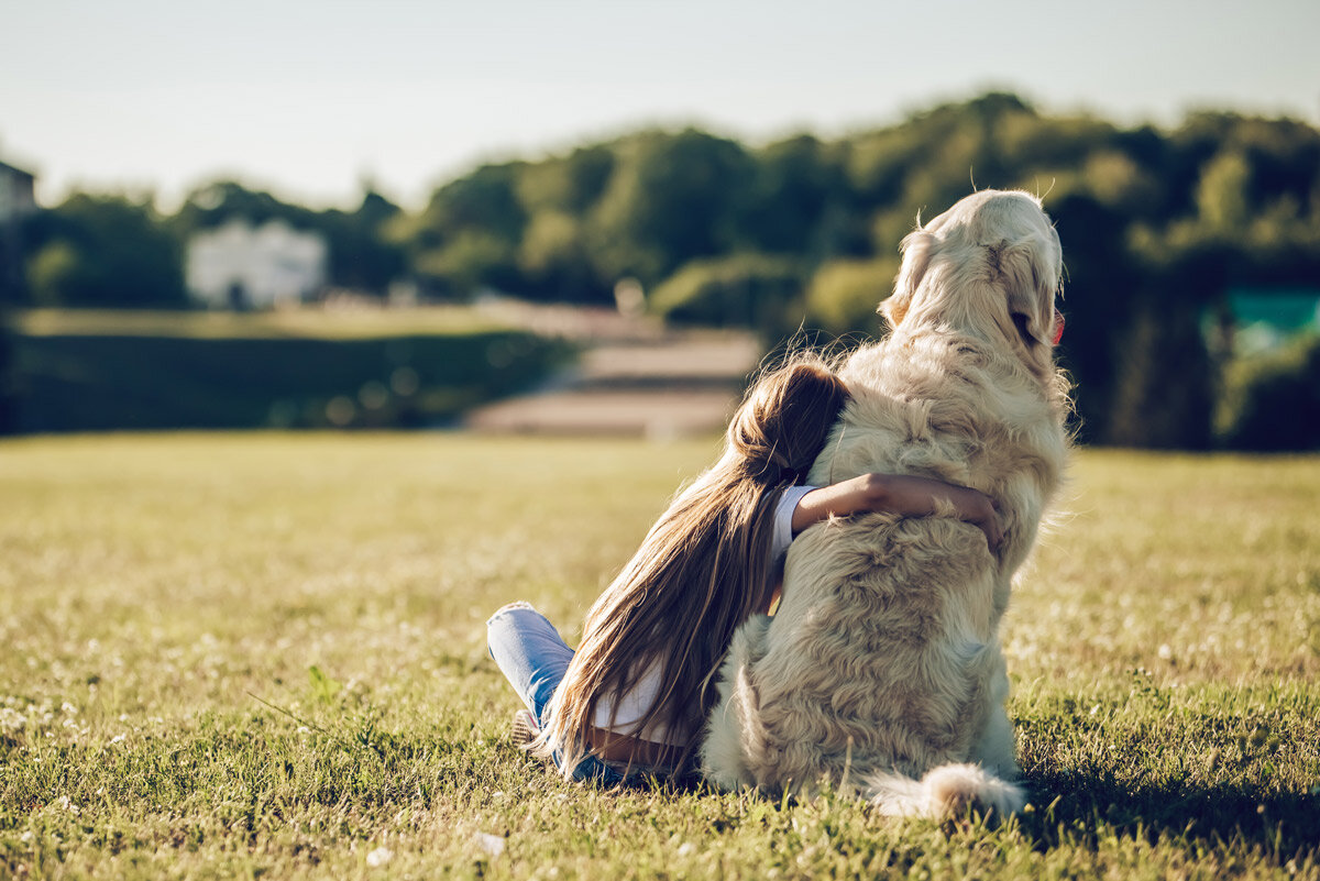 Gaining a New Perspective by Tapping into Innocence