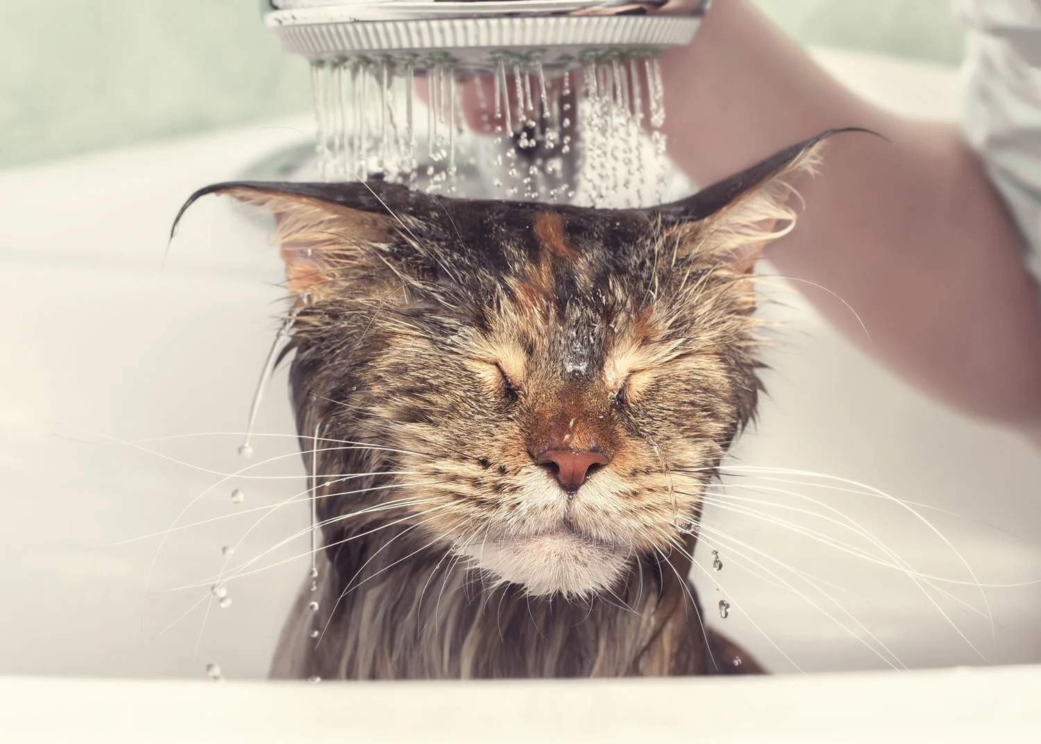 Can I truly be ‘clean’ forever?