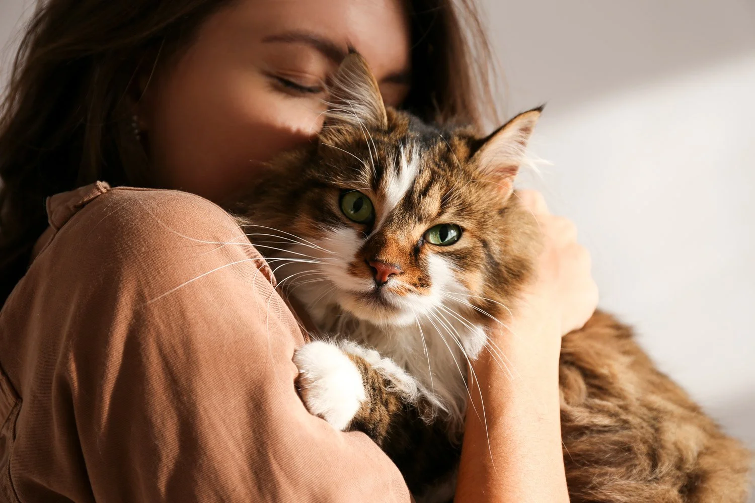 Love Lessons from My Mean Kitty